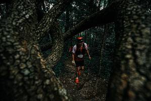 BIB: 
                            <button type="button" onclick="openModal(25689199)" class="btn btn-primary btn-sm float-right btn-popup" data-toggle="modal" data-target=".modal-high-quality">
                        <i class="fas fa-shopping-cart"></i> Add to Cart
                    </button>
                                            <button type="button" onclick="isThisMe(25689199, true)" class="btn btn-success btn-sm float-right btn-popup btn-isme hidden" data-toggle="tooltip" data-placement="bottom" title="นี่คือรูปของคุณใช่ไหม คลิกที่นี่เพื่อเอาเข้าอัลบั้ม">
                        <i class="fas fa-plus"></i> Add to album
                    </button>
                    <button type="button" onclick="isThisMe(25689199, false)" class="btn btn-warning btn-sm float-right btn-popup btn-isnotme hidden">
                        <i class="fas fa-ban"></i> Remove from album
                    </button>